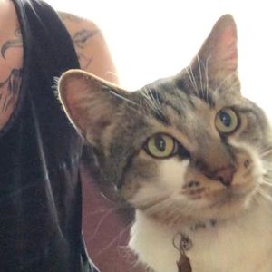 Meet your Posher, Joshua